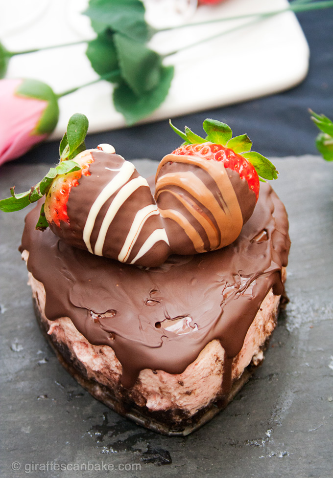 Chocolate Covered Strawberry Cheesecake for Two - Creamy strawberry cheesecake with an oreo crust, topped with a rich chocolate ganache. Made especially for two, perfect for a Valentine's Day Dessert!